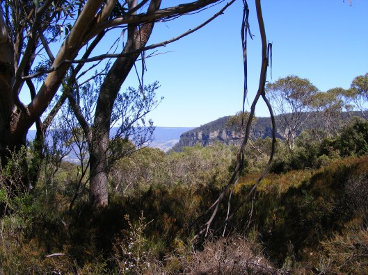 Cahills Lookout