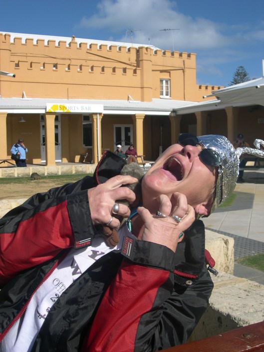 the stuffed quokka attacking Sal even with tin foil hat on