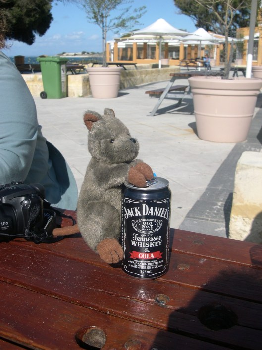 stuffed quokka attacking the drinks